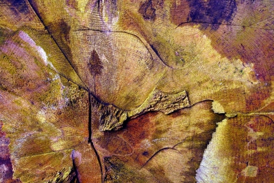 <i class='fa fa-user'></i>&nbsp;Bert Veerman&nbsp;|  Abstract Colours Tree&nbsp; <i class='fa fa-eye'>&nbsp;147</i> &nbsp;<i class='fa fa-thumbs-up'>&nbsp;2</i> &nbsp; <i class='fa fa-comment-o'>&nbsp;4</i>