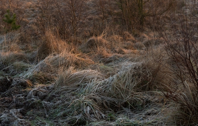 <i class='fa fa-user'></i>&nbsp;nelappelmelk&nbsp;|  Lichtval&nbsp; <i class='fa fa-eye'>&nbsp;72</i> &nbsp; <i class='fa fa-comment-o'>&nbsp;7</i>