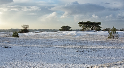 Geheel onverwachts kreeg ik vanmorgen een wintersportgevoel. Thuis had het even flink gehageld. Maar op het Kootwijkerzand was ook sneeuw gevallen.