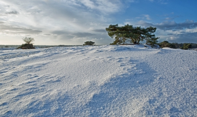 Onverwachts nog een vleugje winter. De sneeuw en hagel waren zeer plaatselijk. Gelukkig was ik de eerste die er liep dus geen hinderlijke voetstappen.