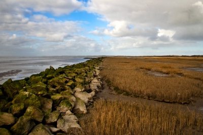 <i class='fa fa-user'></i>&nbsp;vanmarle&nbsp;|  Terschelling wad&nbsp; <i class='fa fa-eye'>&nbsp;172</i> &nbsp; <i class='fa fa-comment-o'>&nbsp;0</i>