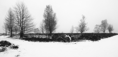 Gisteren gewandeld in een ongerept wit landschap. Enkel wildsporen op de paden. De dag ervoor had ik hier nog gefietst. Nu was er weer verse sneeuw gevallen.