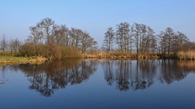 <i class='fa fa-user'></i>&nbsp;kooyammers&nbsp;|  Weerschijn in Berkenwoudse Boezem&nbsp; <i class='fa fa-eye'>&nbsp;152</i> &nbsp; <i class='fa fa-comment-o'>&nbsp;1</i>