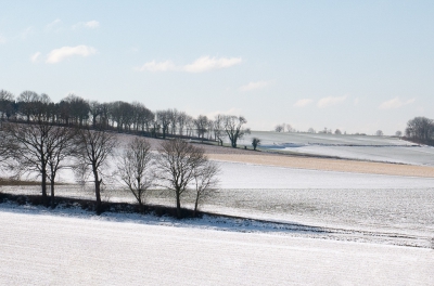 <i class='fa fa-user'></i>&nbsp;Henk van den Born&nbsp;|  Limburgs winterlandschap&nbsp; <i class='fa fa-eye'>&nbsp;153</i> &nbsp; <i class='fa fa-comment-o'>&nbsp;8</i>