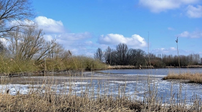 <i class='fa fa-user'></i>&nbsp;kooyammers&nbsp;|  Winter in de Uiterwaard&nbsp; <i class='fa fa-eye'>&nbsp;152</i> &nbsp; <i class='fa fa-comment-o'>&nbsp;3</i>