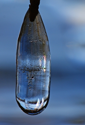 <i class='fa fa-user'></i>&nbsp;David Ruijs&nbsp;|  Waterfles&nbsp; <i class='fa fa-eye'>&nbsp;182</i> &nbsp;<i class='fa fa-thumbs-up'>&nbsp;2</i> &nbsp; <i class='fa fa-comment-o'>&nbsp;4</i>