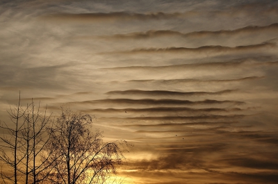 <i class='fa fa-user'></i>&nbsp;Pieter  LJ&nbsp;|  Wolkenlucht bij ondergaande zon&nbsp; <i class='fa fa-eye'>&nbsp;197</i> &nbsp;<i class='fa fa-thumbs-up'>&nbsp;1</i> &nbsp; <i class='fa fa-comment-o'>&nbsp;6</i>