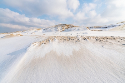 <i class='fa fa-user'></i>&nbsp;Loes Belovics&nbsp;|  Sneeuw in de duinen&nbsp; <i class='fa fa-eye'>&nbsp;276</i> &nbsp;<i class='fa fa-thumbs-up'>&nbsp;10</i> &nbsp; <i class='fa fa-comment-o'>&nbsp;14</i>