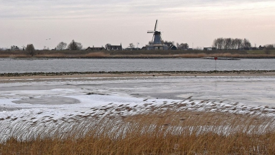 <i class='fa fa-user'></i>&nbsp;kooyammers&nbsp;|  Winter langs de Lek&nbsp; <i class='fa fa-eye'>&nbsp;141</i> &nbsp; <i class='fa fa-comment-o'>&nbsp;5</i>