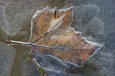 <i class='fa fa-user'></i>&nbsp;David Ruijs&nbsp;|  Einde winter en herfst&nbsp; <i class='fa fa-eye'>&nbsp;162</i> &nbsp;<i class='fa fa-thumbs-up'>&nbsp;7</i> &nbsp; <i class='fa fa-comment-o'>&nbsp;5</i>