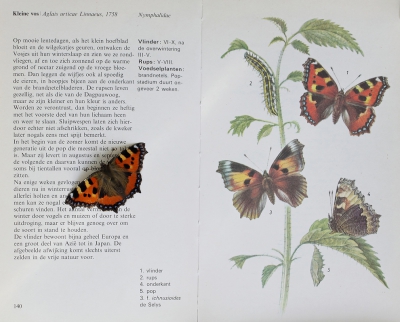 <i class='fa fa-user'></i>&nbsp;Ad Sprang&nbsp;|  Kleine Vos&nbsp; <i class='fa fa-eye'>&nbsp;338</i> &nbsp;<i class='fa fa-thumbs-up'>&nbsp;14</i> &nbsp; <i class='fa fa-comment-o'>&nbsp;14</i>