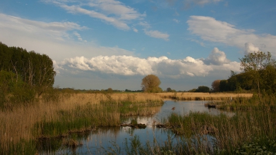 <i class='fa fa-user'></i>&nbsp;Bert Veerman&nbsp;|  Oude Rijnstrangen&nbsp; <i class='fa fa-eye'>&nbsp;127</i> &nbsp;<i class='fa fa-thumbs-up'>&nbsp;3</i> &nbsp; <i class='fa fa-comment-o'>&nbsp;6</i>