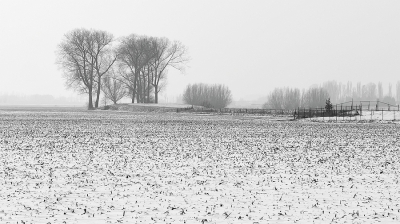 <i class='fa fa-user'></i>&nbsp;Johan van Gurp&nbsp;|  Winter in de polder&nbsp; <i class='fa fa-eye'>&nbsp;129</i> &nbsp; <i class='fa fa-comment-o'>&nbsp;2</i>