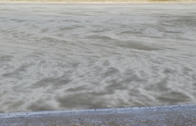 <i class='fa fa-user'></i>&nbsp;Eef Kieft&nbsp;|  Surrealistisch strand&nbsp; <i class='fa fa-eye'>&nbsp;149</i> &nbsp; <i class='fa fa-comment-o'>&nbsp;2</i>