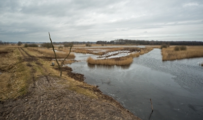 Vanuit deze vogelkijkhut Diependal heb je een prachtig uitzicht.
Helaas lieten de vogels zich nauwelijks zien. Het water was nu maar net weer wat ontdooid. Het is een prachtige hut waar je vrij lang door een ondergrondse tunnel heen loopt.