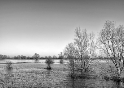 Prachtig mooi weer -6 graden uit de hand even compo zoeken en foto maken.