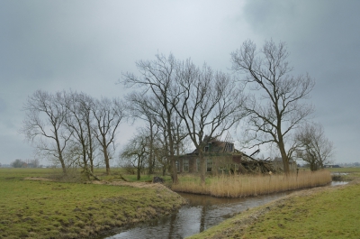 <i class='fa fa-user'></i>&nbsp;Hendrik van Kampen&nbsp;|  Terug naar de natuur&nbsp; <i class='fa fa-eye'>&nbsp;205</i> &nbsp; <i class='fa fa-comment-o'>&nbsp;8</i>