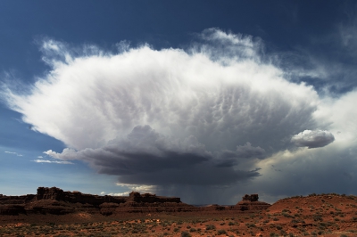 <i class='fa fa-user'></i>&nbsp;Frank Neervoort&nbsp;|  Canyonland&nbsp; <i class='fa fa-eye'>&nbsp;217</i> &nbsp;<i class='fa fa-thumbs-up'>&nbsp;11</i> &nbsp; <i class='fa fa-comment-o'>&nbsp;7</i>