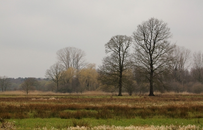 <i class='fa fa-user'></i>&nbsp;Pieter  LJ&nbsp;|  Beekdal bij het Merkske&nbsp; <i class='fa fa-eye'>&nbsp;103</i> &nbsp;<i class='fa fa-thumbs-up'>&nbsp;1</i> &nbsp; <i class='fa fa-comment-o'>&nbsp;1</i>