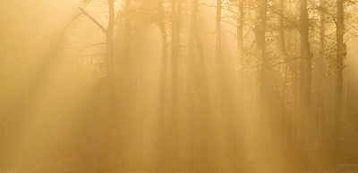 Het was hier vanmorgen nog -4 graden. Laatste winterse perikelen? De zon kwam al snel fel door. Beetje mist. Je hoopt op wild op de goede plek. Er liepen herten maar aan de bosrand.