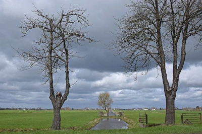 <i class='fa fa-user'></i>&nbsp;kooyammers&nbsp;|  Bomen in de Polder&nbsp; <i class='fa fa-eye'>&nbsp;222</i> &nbsp;<i class='fa fa-thumbs-up'>&nbsp;1</i> &nbsp; <i class='fa fa-comment-o'>&nbsp;7</i>