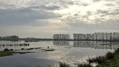 <i class='fa fa-user'></i>&nbsp;kooyammers&nbsp;|  Plas Dras Polder De Nesse&nbsp; <i class='fa fa-eye'>&nbsp;154</i> &nbsp;<i class='fa fa-thumbs-up'>&nbsp;3</i> &nbsp; <i class='fa fa-comment-o'>&nbsp;5</i>