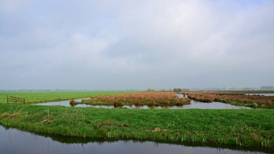 <i class='fa fa-user'></i>&nbsp;kooyammers&nbsp;|  Polder Groot Keulevaart&nbsp; <i class='fa fa-eye'>&nbsp;101</i> &nbsp;<i class='fa fa-thumbs-up'>&nbsp;1</i> &nbsp; <i class='fa fa-comment-o'>&nbsp;1</i>
