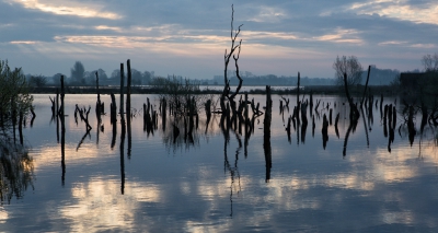 Een hele fijne week doorgebracht in Eernewoude.
 Vlakbij de Olde Faenen. Elke morgen ben ik vroeg het gebied dichtbij in gegaan. Hierbij 2 opnames van verschillende dagen. Een wereld van verschil. 
Deze is van de laatste morgen.