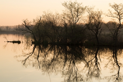 <i class='fa fa-user'></i>&nbsp;nelappelmelk&nbsp;|  Vroege morgenlicht&nbsp; <i class='fa fa-eye'>&nbsp;117</i> &nbsp; <i class='fa fa-comment-o'>&nbsp;4</i>