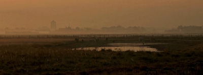 <i class='fa fa-user'></i>&nbsp;Nel R&nbsp;|  Landschap met koeien&nbsp; <i class='fa fa-eye'>&nbsp;137</i> &nbsp;<i class='fa fa-thumbs-up'>&nbsp;3</i> &nbsp; <i class='fa fa-comment-o'>&nbsp;4</i>