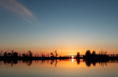 Zonsondergang in de Oostvaardersplassen. Camera op de grond geplaatst om een zo laag mogelijk standpunt te krijgen waarbij de horizon op een derde staat.