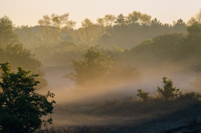 <i class='fa fa-user'></i>&nbsp;Eef Kieft&nbsp;|  Vroege ochtend in de duinen&nbsp; <i class='fa fa-eye'>&nbsp;124</i> &nbsp; <i class='fa fa-comment-o'>&nbsp;2</i>