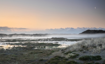 <i class='fa fa-user'></i>&nbsp;ep&nbsp;|  Terschelling in de mist&nbsp; <i class='fa fa-eye'>&nbsp;135</i> &nbsp; <i class='fa fa-comment-o'>&nbsp;5</i>