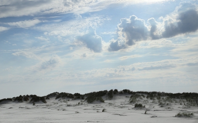 <i class='fa fa-user'></i>&nbsp;Ben Aalders&nbsp;|  Witte duinen&nbsp; <i class='fa fa-eye'>&nbsp;115</i> &nbsp;<i class='fa fa-thumbs-up'>&nbsp;3</i> &nbsp; <i class='fa fa-comment-o'>&nbsp;1</i>
