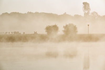 Na 1 1/2 uur wandelen en luisteren naar de vogels begon de mist wat op te trekken. Lastig om alle geluiden te herkennen. Ben toch meer visueel ingesteld.