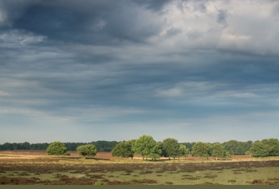 Vanmorgen vroeg begon het te regenen. Niet lang daarna kon ik genieten vanaf een bankje van een fantastische kleurenpracht. Voorbode voor slecht weer. Nee het klaarde op en het werd een hele warme en zonnige dag.