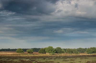 Vanmorgen vroeg begon het te regenen. Niet lang daarna kon ik genieten vanaf een bankje van een fantastische kleurenpracht. Voorbode voor slecht weer?  Nee het klaarde op en het werd een hele warme en zonnige dag.