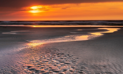 <i class='fa fa-user'></i>&nbsp;ep&nbsp;|  Strand Terschelling&nbsp; <i class='fa fa-eye'>&nbsp;141</i> &nbsp;<i class='fa fa-thumbs-up'>&nbsp;2</i> &nbsp; <i class='fa fa-comment-o'>&nbsp;3</i>