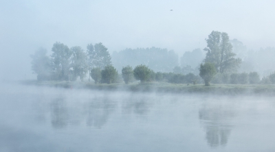 De vogelexcursie begon om 6 uur. De eerste  1 1/2 uur waren de vogels niet te zien maar wel te horen.
Toen we bij de IJssel aankwamen brak de lucht open en zagen we waar we waren...