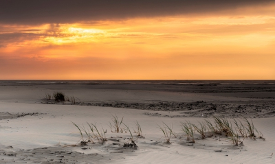 <i class='fa fa-user'></i>&nbsp;ep&nbsp;|  Strand Terschelling&nbsp; <i class='fa fa-eye'>&nbsp;122</i> &nbsp;<i class='fa fa-thumbs-up'>&nbsp;2</i> &nbsp; <i class='fa fa-comment-o'>&nbsp;5</i>