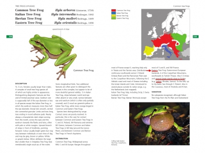 pagina's uit de Field Guide to the Amphibians and Reptiles of Britain and Europe  Jeroen Speybroeck, Wouter Beukema, Bobby Bok, Jan Van Der Voort