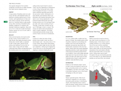 pagina uit de Field Guide to the Amphibians and Reptiles of Britain and Europe  Jeroen Speybroeck, Wouter Beukema, Bobby Bok, Jan Van Der Voort