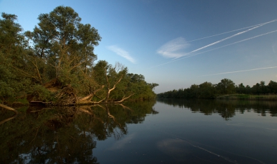 <i class='fa fa-user'></i>&nbsp;Schollevaer&nbsp;|  Bevert  (Brabantse Biesbosch)&nbsp; <i class='fa fa-eye'>&nbsp;98</i> &nbsp;<i class='fa fa-thumbs-up'>&nbsp;1</i> &nbsp; <i class='fa fa-comment-o'>&nbsp;0</i>