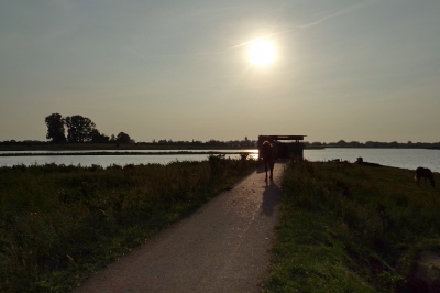 <i class='fa fa-user'></i>&nbsp;Ben Aalders&nbsp;|  Vogelkijkhut in tegenlicht&nbsp; <i class='fa fa-eye'>&nbsp;67</i> &nbsp; <i class='fa fa-comment-o'>&nbsp;3</i>