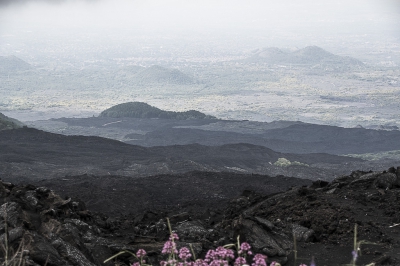 <i class='fa fa-user'></i>&nbsp;momo&nbsp;|  Etna&nbsp; <i class='fa fa-eye'>&nbsp;81</i> &nbsp; <i class='fa fa-comment-o'>&nbsp;2</i>