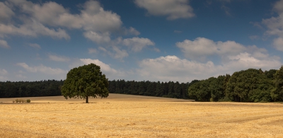 <i class='fa fa-user'></i>&nbsp;Bemaliri&nbsp;|  Glooiend landschap&nbsp; <i class='fa fa-eye'>&nbsp;93</i> &nbsp; <i class='fa fa-comment-o'>&nbsp;1</i>