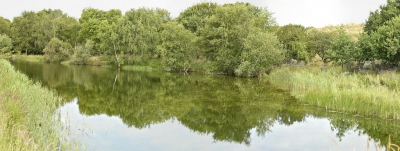 <i class='fa fa-user'></i>&nbsp;Arne Bakker&nbsp;|  Panorama meertje in de AWD&nbsp; <i class='fa fa-eye'>&nbsp;90</i> &nbsp; <i class='fa fa-comment-o'>&nbsp;2</i>