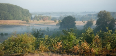 De mist was zeer plaatselijk. Hier kon ik door de mist de herfstkleuren goed zien. De enorme droogte zorgt nu voor deze kleuren.