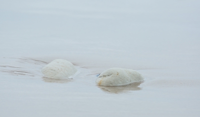 Overal mooie stenen langs de kust. Gezocht naar een paar lichte.
Het beetje water wat na de vloed was overgebleven gaf me een zekere rust.