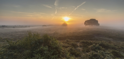 <i class='fa fa-user'></i>&nbsp;Mark van Veldhuizen&nbsp;|  Zonsopgang boven de Veluwe&nbsp; <i class='fa fa-eye'>&nbsp;92</i> &nbsp;<i class='fa fa-thumbs-up'>&nbsp;2</i> &nbsp; <i class='fa fa-comment-o'>&nbsp;4</i>